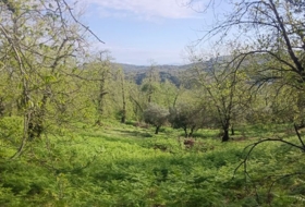Aracena 170000&nbsp;m²