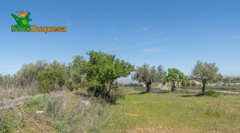 Granada - Villa de Otura - 6056m2