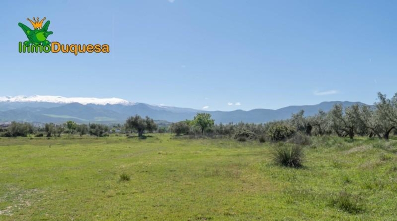 Granada - Villa de Otura - 6056m2