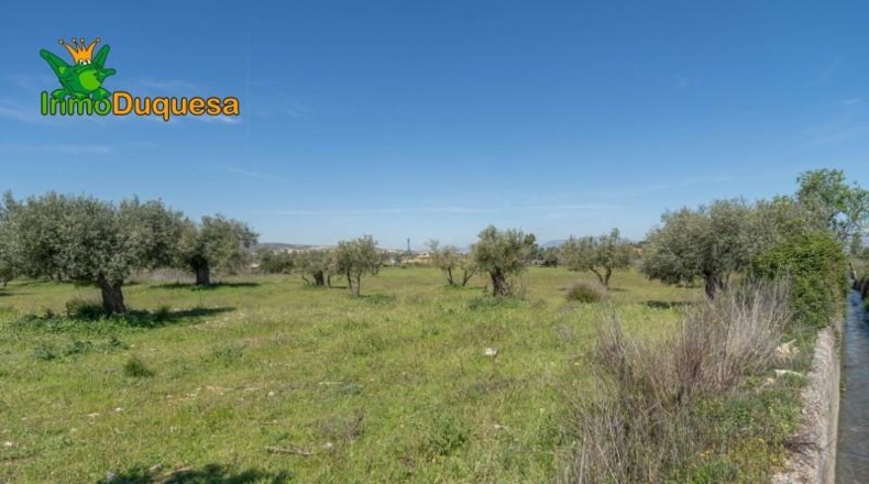 Granada - Villa de Otura - 6056m2