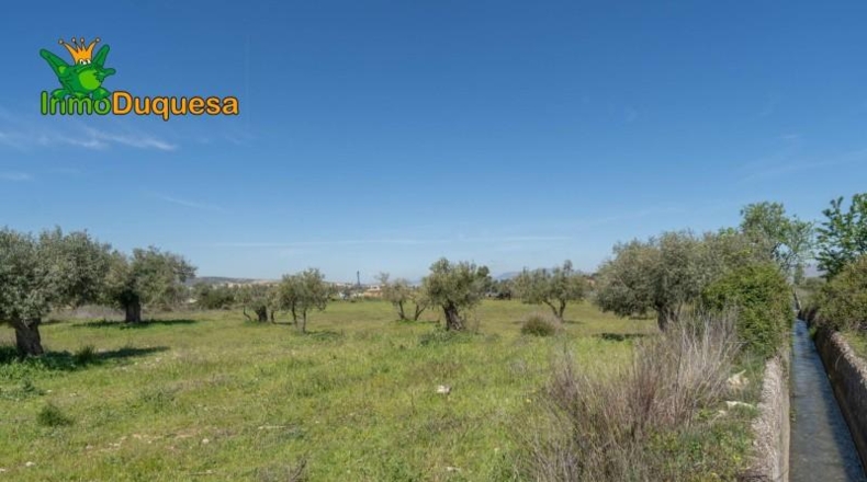 Granada - Villa de Otura - 6056m2