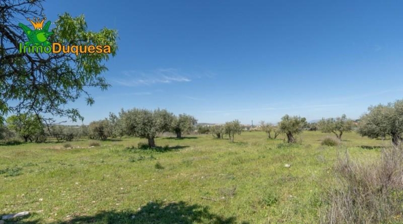 Granada - Villa de Otura - 6056m2