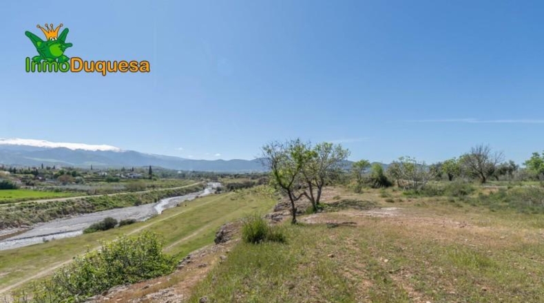 Granada - Villa de Otura - 6056m2