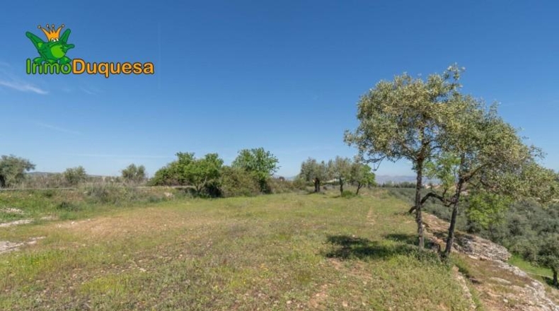 Granada - Villa de Otura - 6056m2