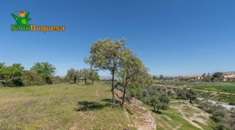 Granada - Villa de Otura - 6056m2