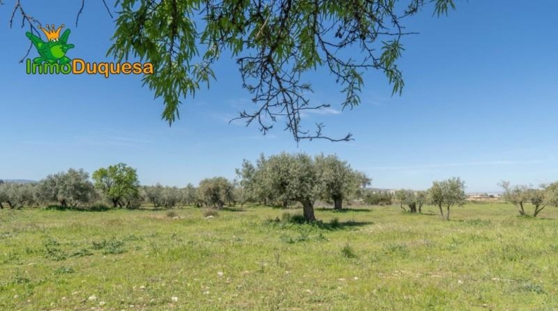 Granada - Villa de Otura - 6056m2