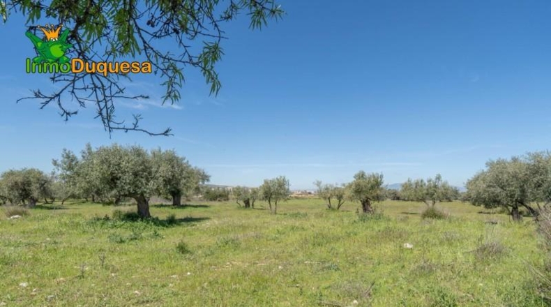 Granada - Villa de Otura - 6056m2