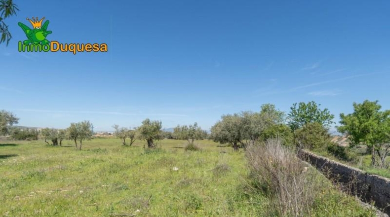Granada - Villa de Otura - 6056m2