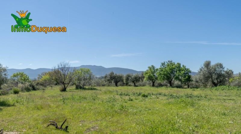 Granada - Villa de Otura - 6056m2