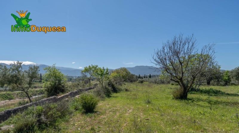 Granada - Villa de Otura - 6056m2