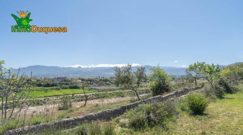 Granada - Villa de Otura - 6056m2