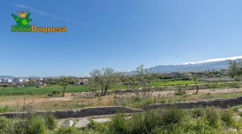Granada - Villa de Otura - 6056m2