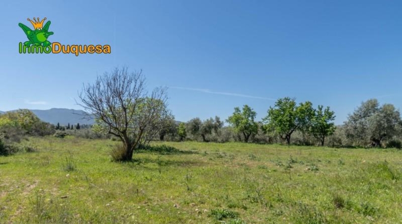 Granada - Villa de Otura - 6056m2