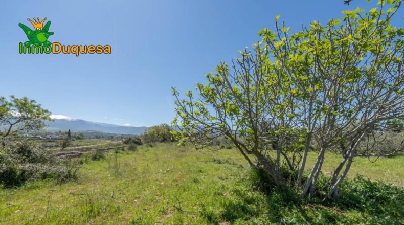 Granada - Villa de Otura - 6056m2