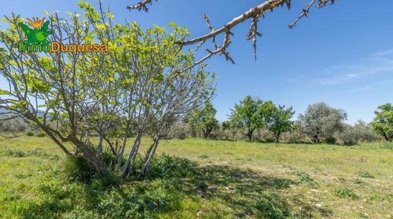 Granada - Villa de Otura - 6056m2