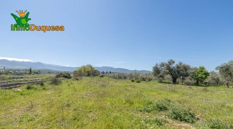Granada - Villa de Otura - 6056m2