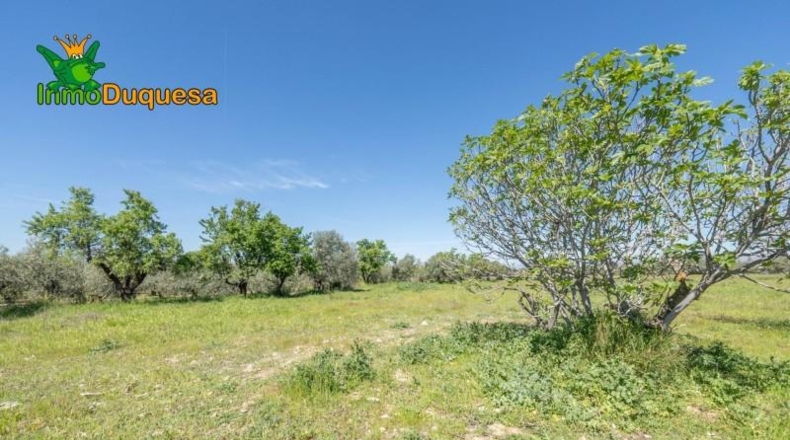 Granada - Villa de Otura - 6056m2