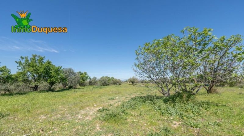 Granada - Villa de Otura - 6056m2