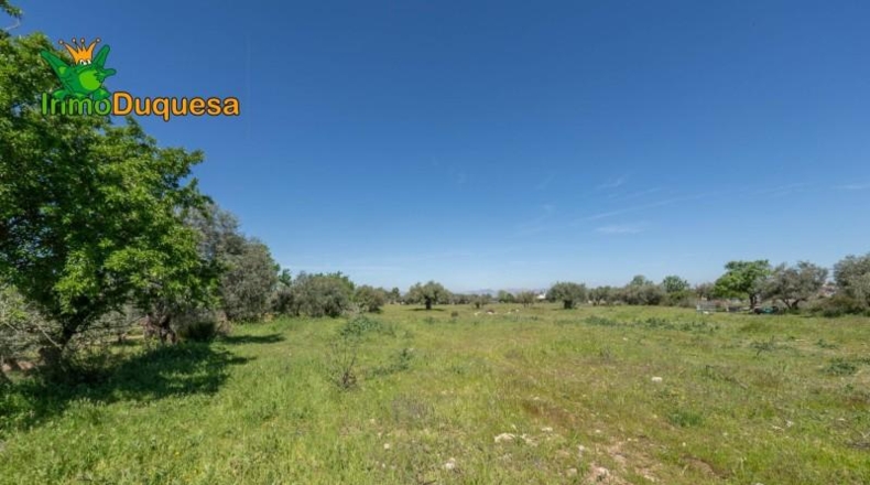 Granada - Villa de Otura - 6056m2