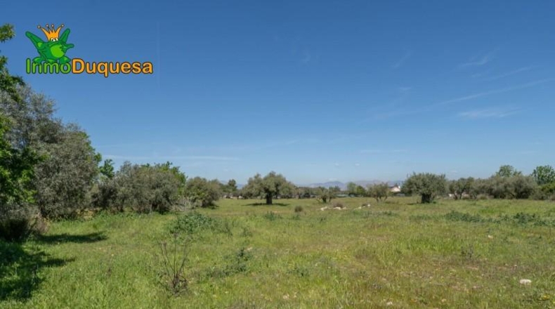 Granada - Villa de Otura - 6056m2