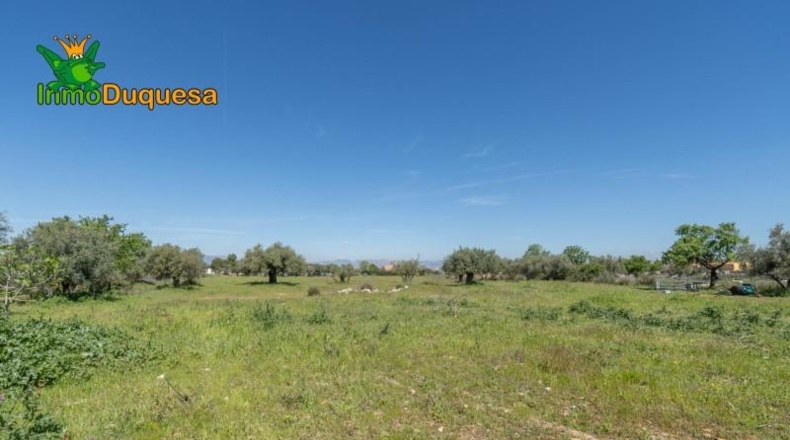 Granada - Villa de Otura - 6056m2