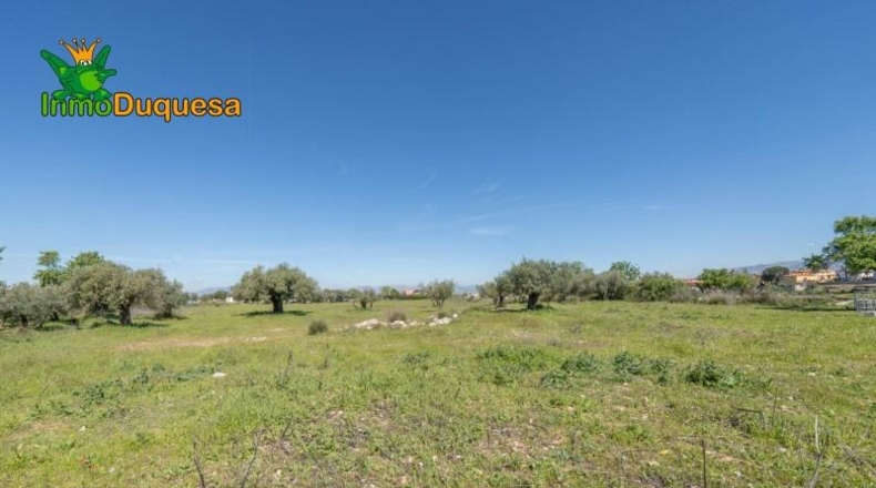 Granada - Villa de Otura - 6056m2