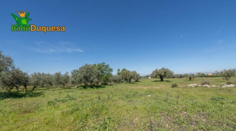 Granada - Villa de Otura - 6056m2