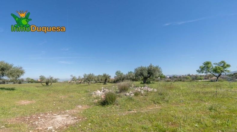 Granada - Villa de Otura - 6056m2