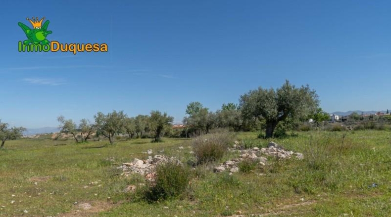 Granada - Villa de Otura - 6056m2