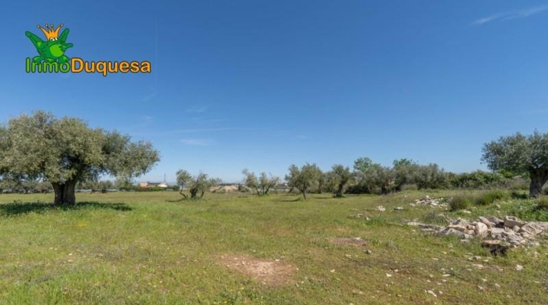 Granada - Villa de Otura - 6056m2