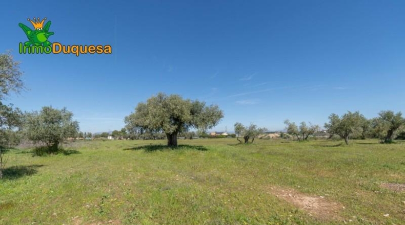 Granada - Villa de Otura - 6056m2