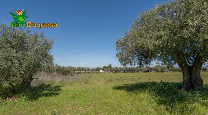 Granada - Villa de Otura - 6056m2
