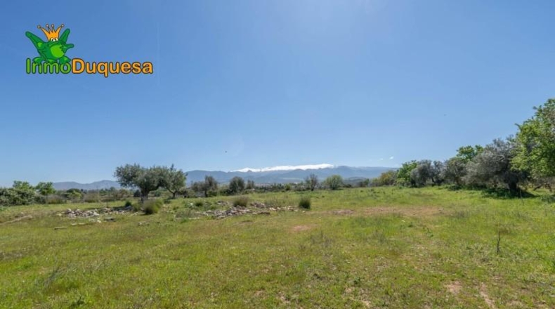 Granada - Villa de Otura - 6056m2