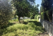 Xalet independent amb terreny en venda a la España, Jaén, ref.: TR407977 foto