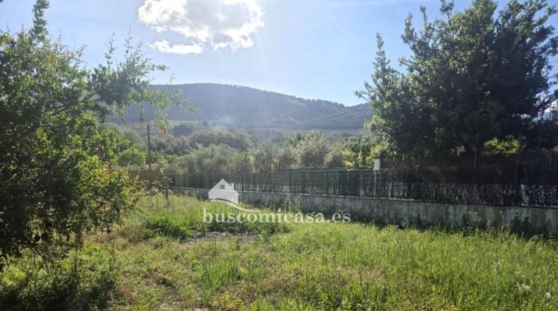Jaén - Jaén - 1337m2