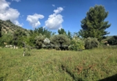 Xalet independent amb terreny en venda a la España, Jaén, ref.: TR407977 foto