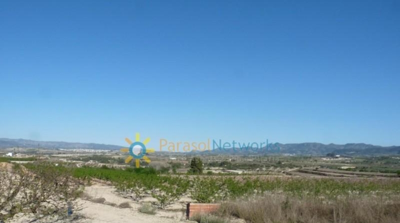 Valencia - Bélgida - 90000m2