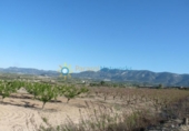 Non-developable land for sale on España, Bèlgida, ref: TR339275 photo