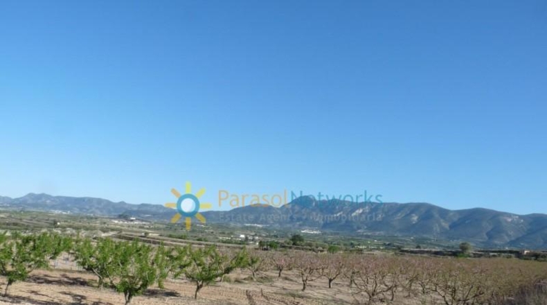 Valencia - Bélgida - 90000m2
