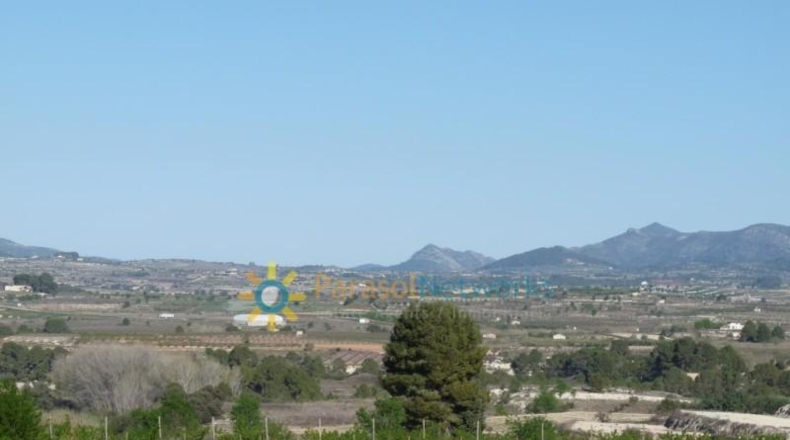Valencia - Bélgida - 90000m2