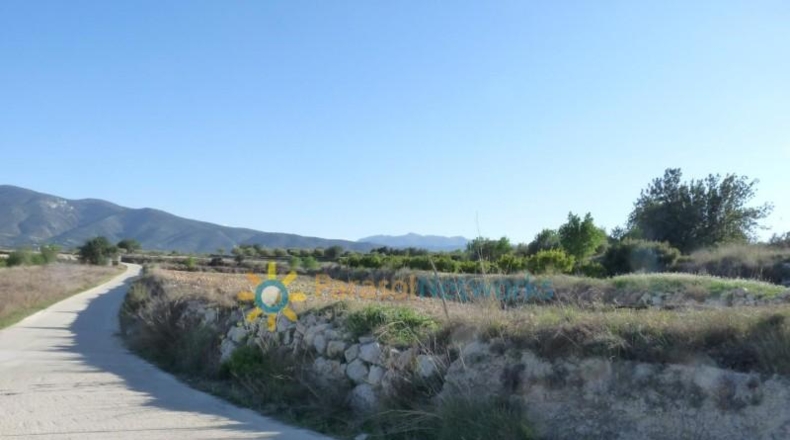 Valencia - Bélgida - 90000m2