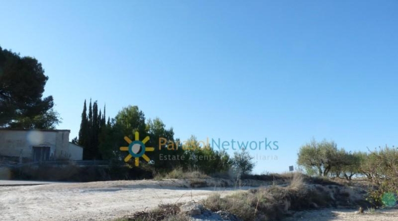 Valencia - Bélgida - 90000m2