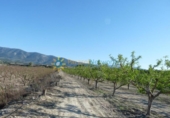 Non-developable land for sale on España, Bèlgida, ref: TR339275 photo