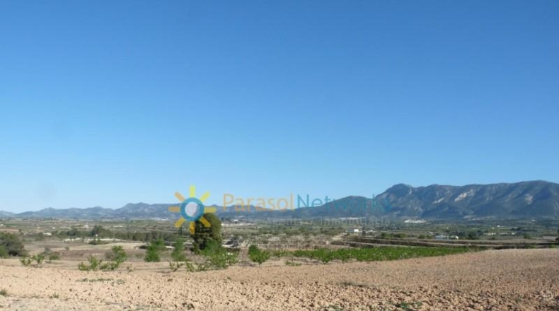 Valencia - Bélgida - 90000m2