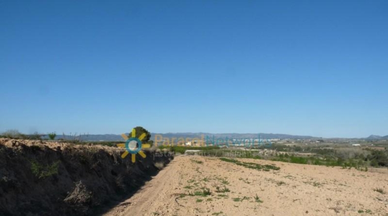 Valencia - Bélgida - 90000m2