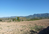 Non-developable land for sale on España, Bèlgida, ref: TR339275 photo