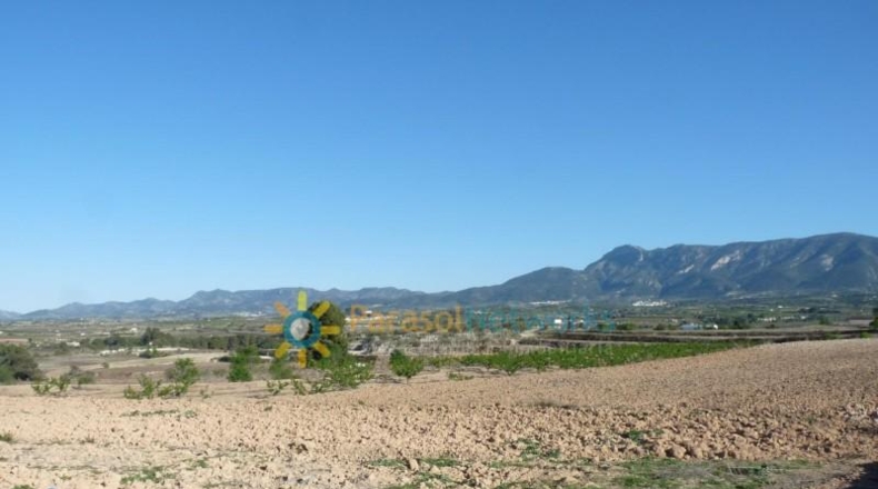 Valencia - Bélgida - 90000m2