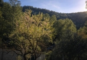 Casa de camp amb terreny en venda a la España, Muro d'Alcoi, ref.: TR338523 foto