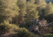 Casa de camp amb terreny en venda a la España, Muro d'Alcoi, ref.: TR338523 foto