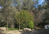 Casa de camp amb terreny en venda a la España, Muro d'Alcoi, ref.: TR338523 foto
